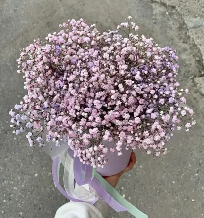 Красота момента