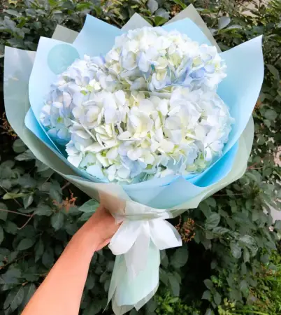 Очарование небес