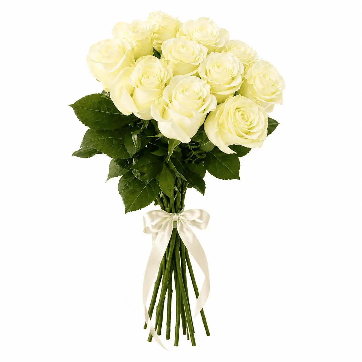 Букет из 11 белых роз под ленту