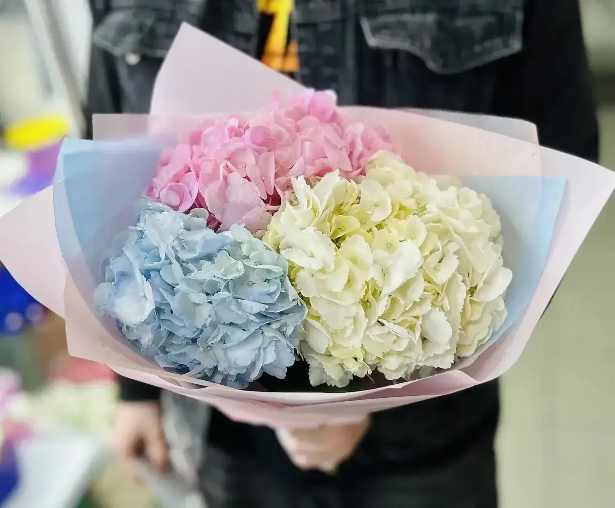 Пастельная симфония