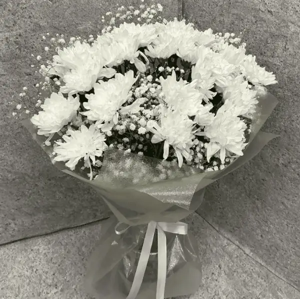 Пышное облачко