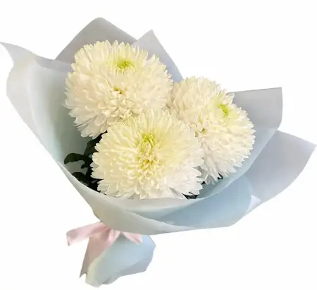 Белая нежность