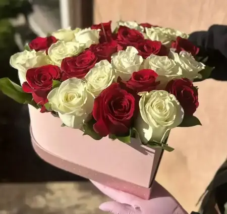 Сердце нежности